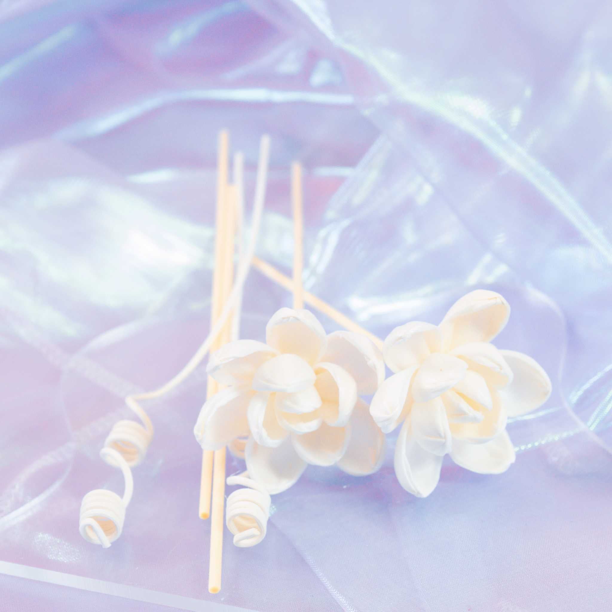 Kaori Hana Collection – Sola Wood Reed Diffuser Sticks