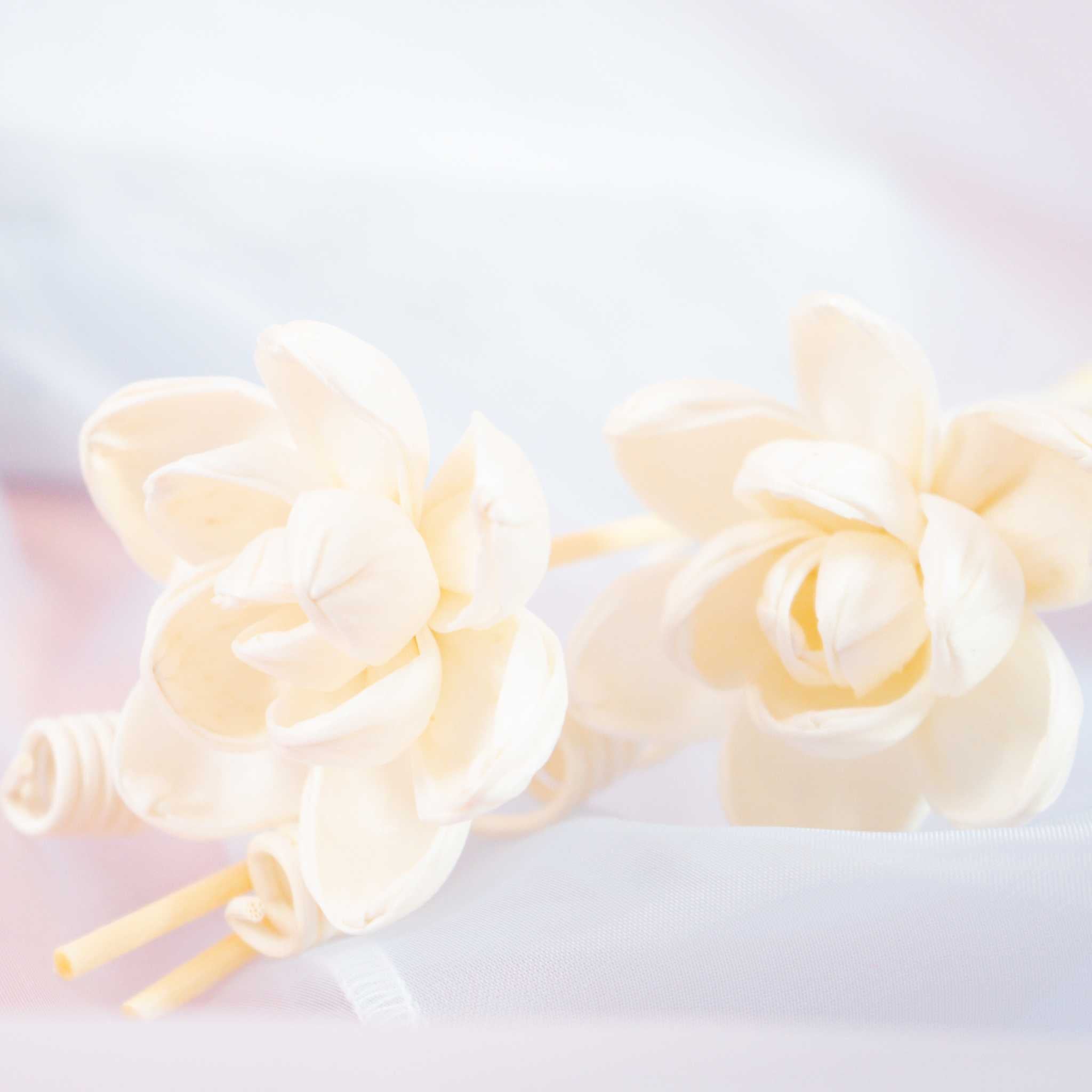 Kaori Hana Collection – Sola Wood Reed Diffuser Sticks