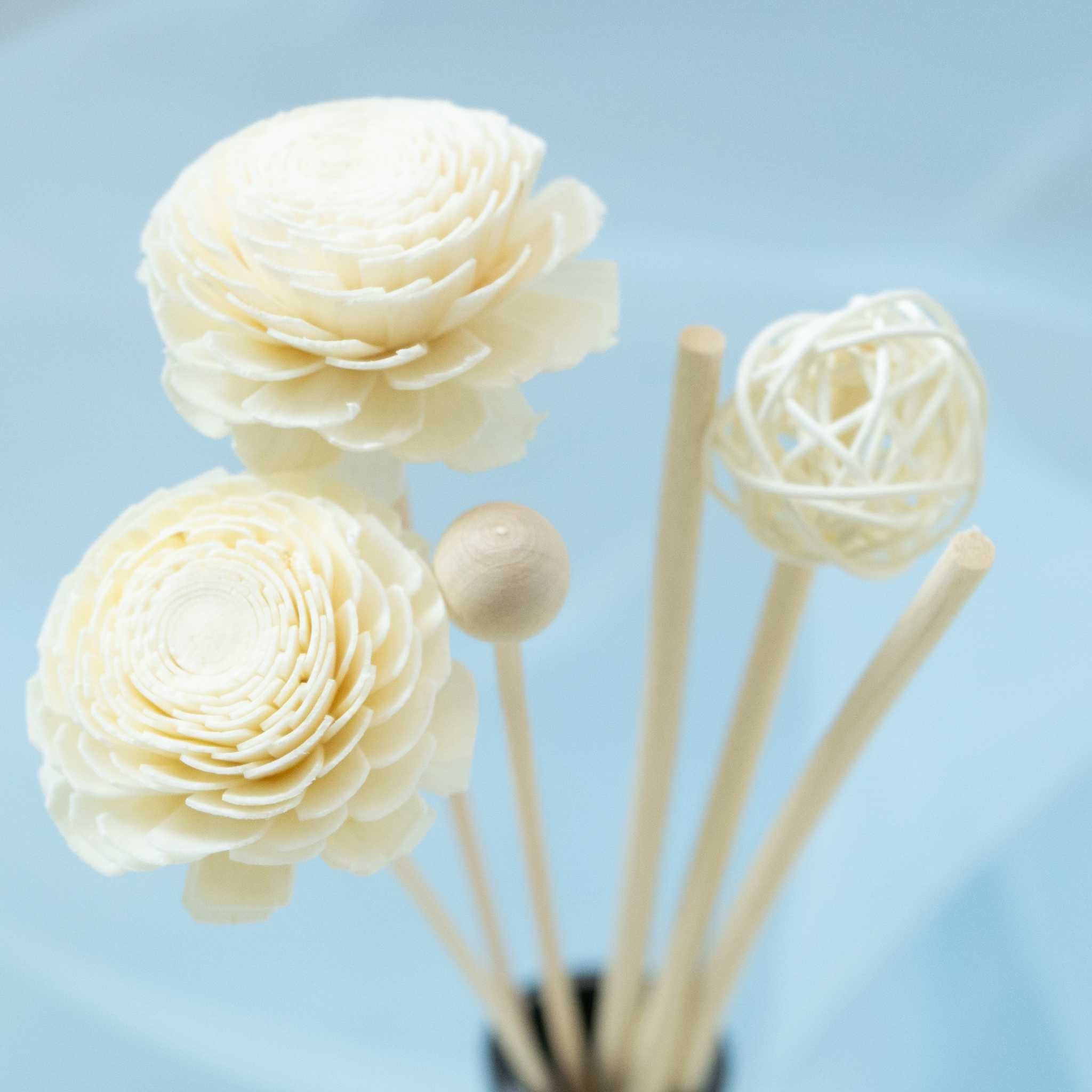 Kaori Hana Collection – Sola Wood Reed Diffuser Sticks