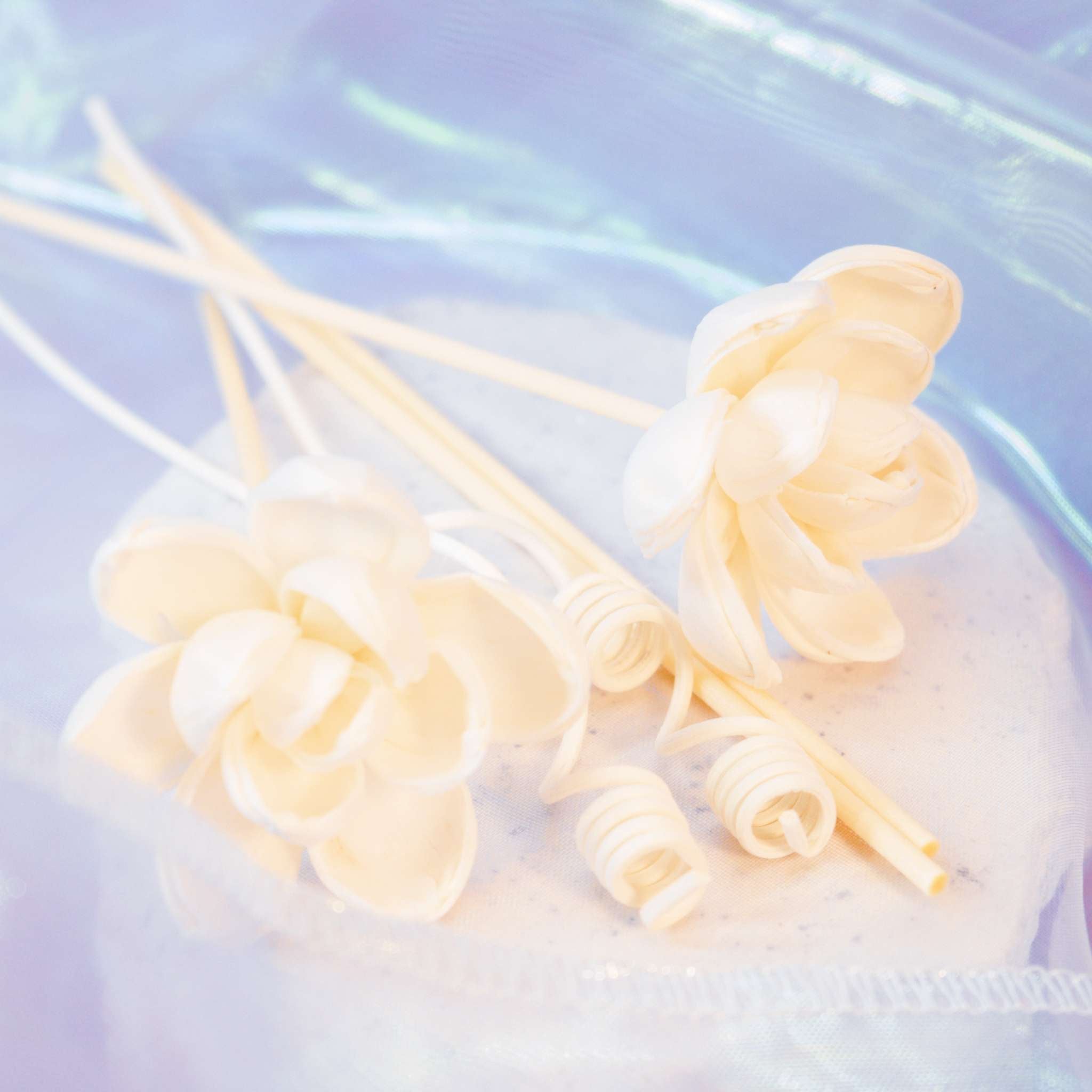 Kaori Hana Collection – Sola Wood Reed Diffuser Sticks