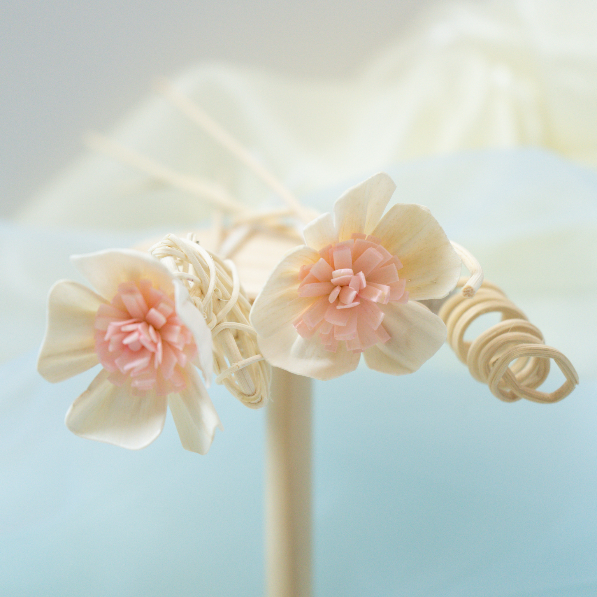 Kaori Hana Reed Stick