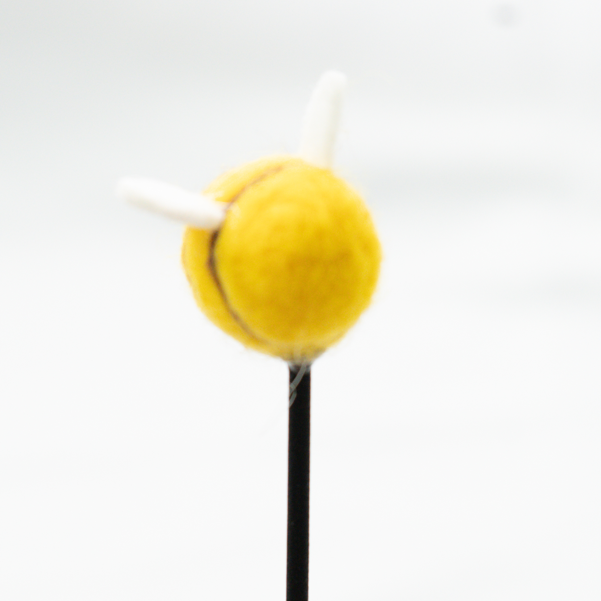 Mitsubachi Hana Kaori