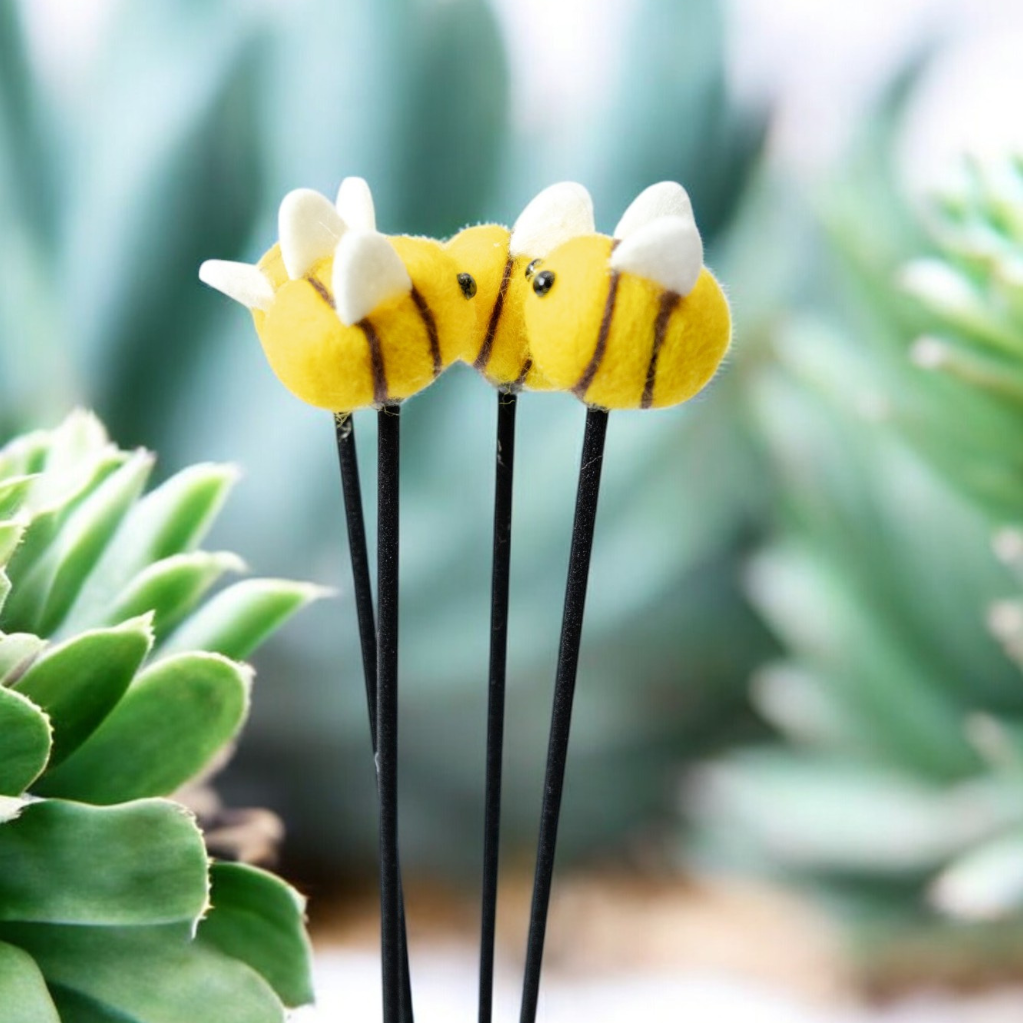 Mitsubachi Hana Kaori