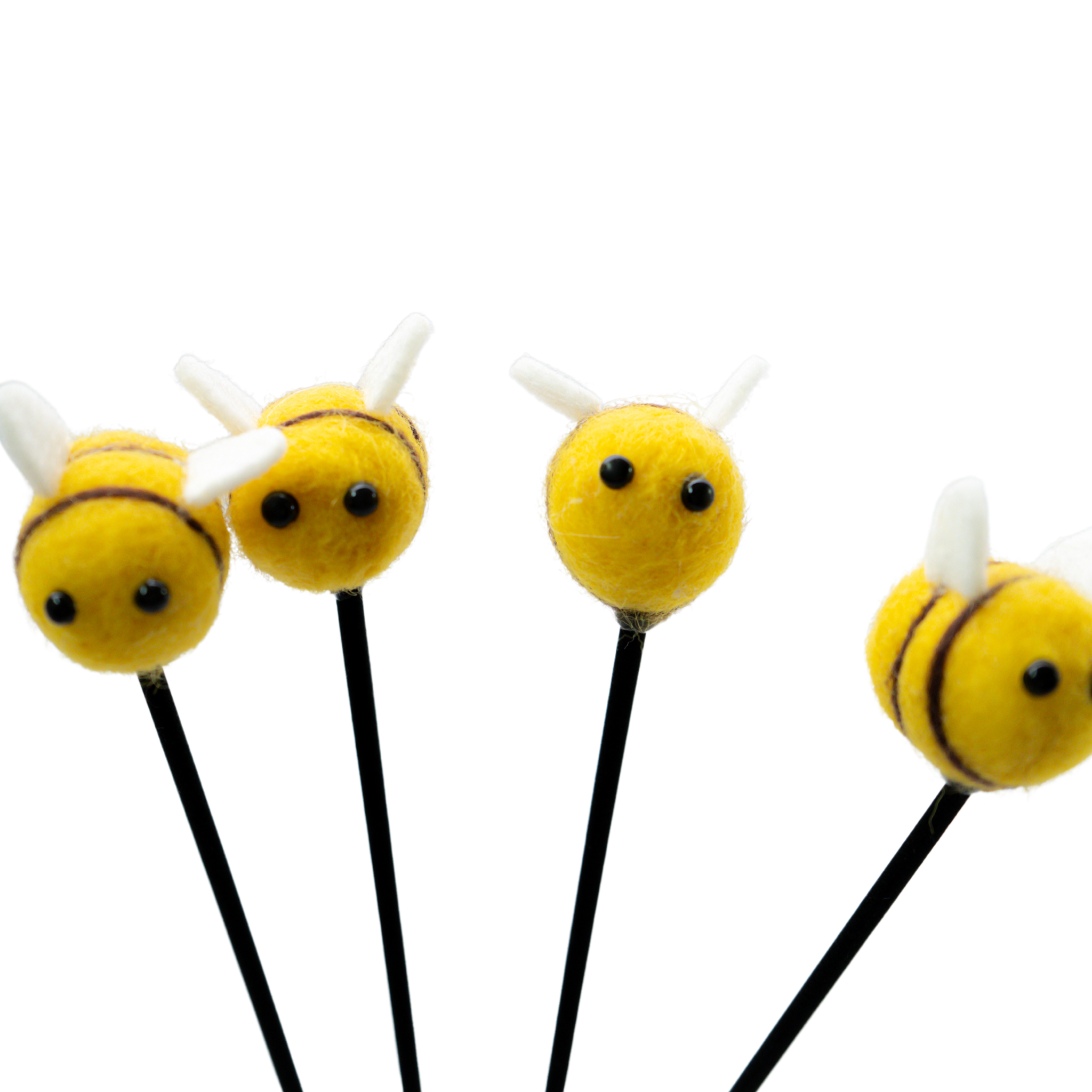 Mitsubachi Hana Kaori