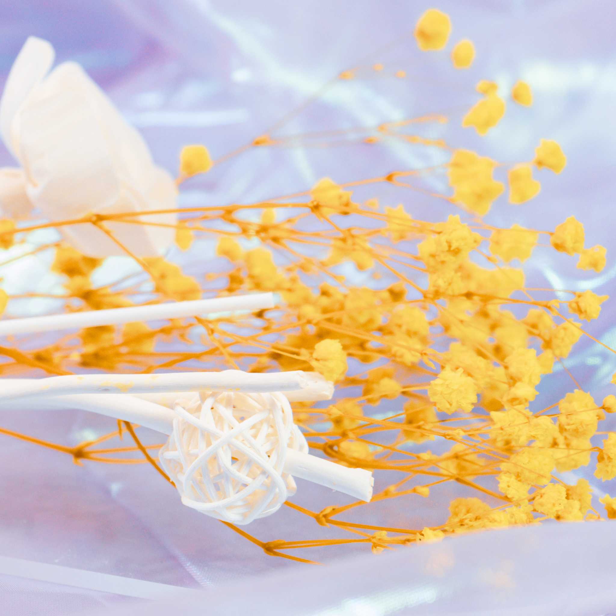 Kaori Hana Collection – Sola Wood Reed Diffuser Sticks