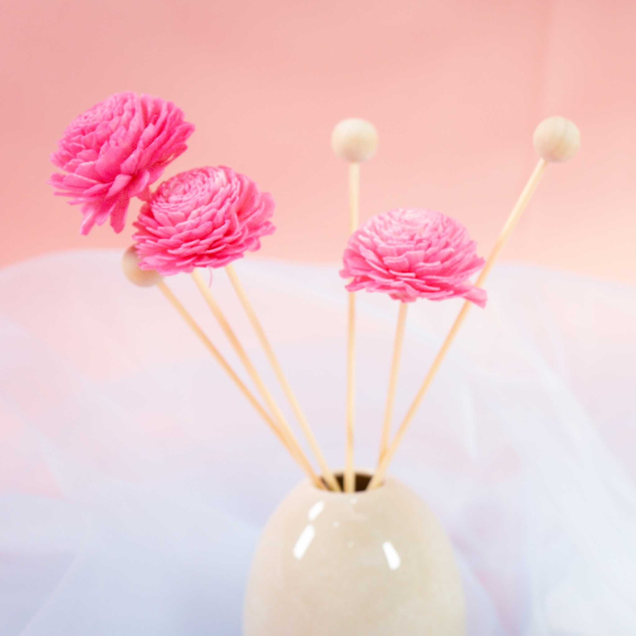 Kaori Hana Collection – Sola Wood Reed Diffuser Sticks