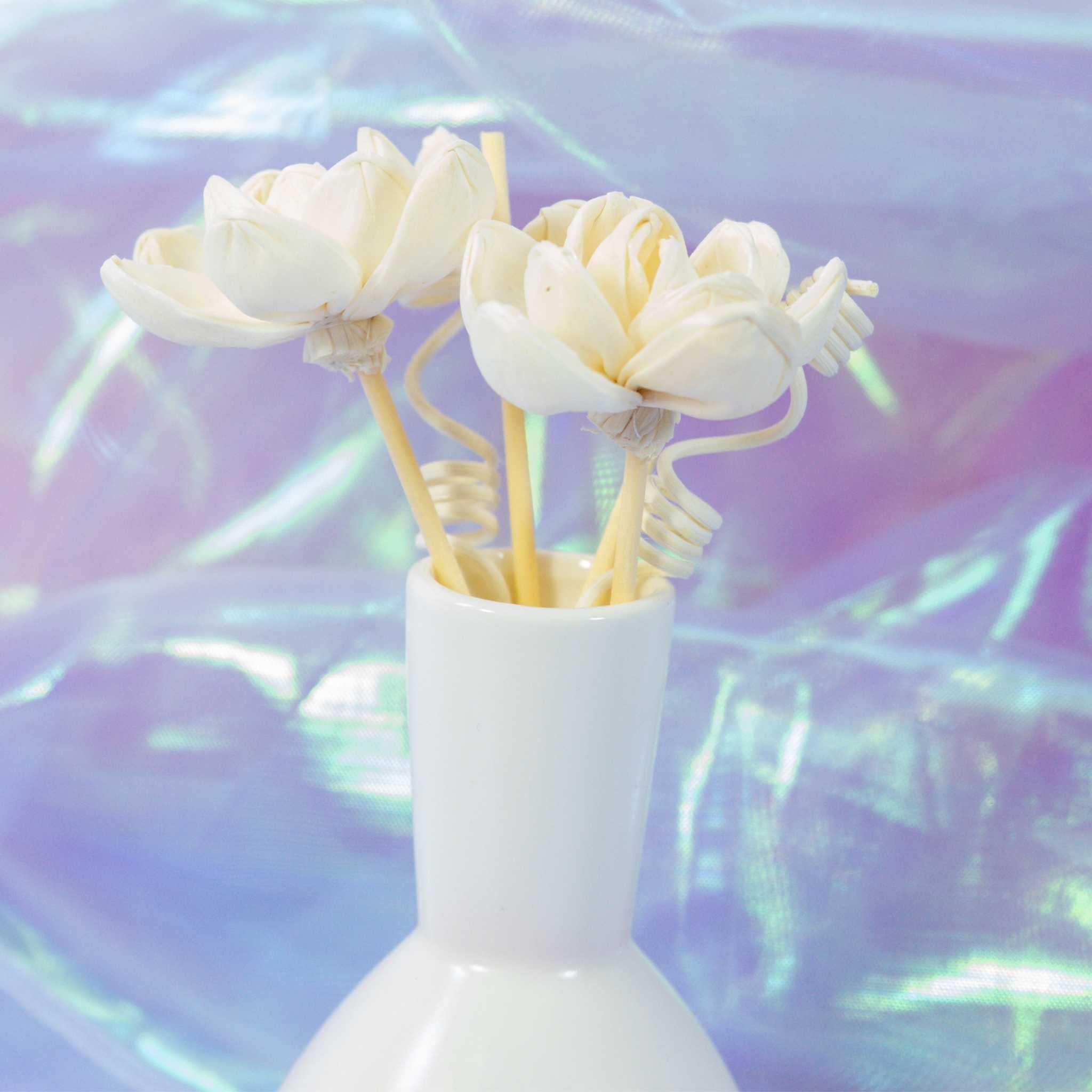 Kaori Hana Collection – Sola Wood Reed Diffuser Sticks