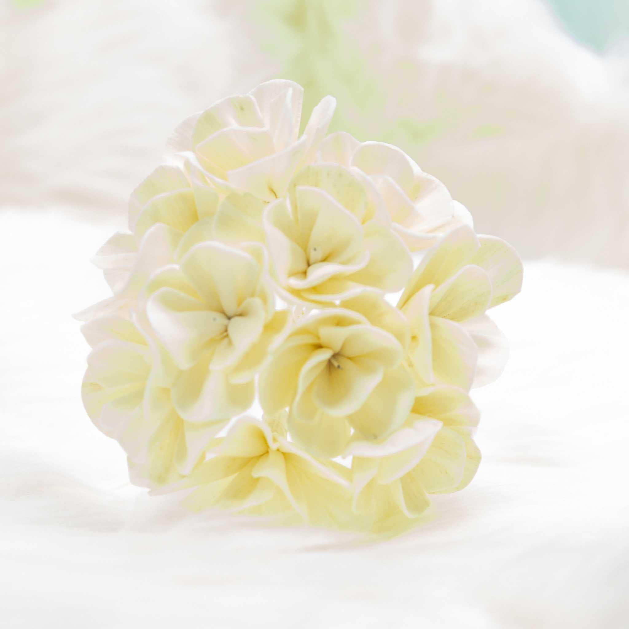 Hanazora Handmade Reed Diffuser Flower Ball