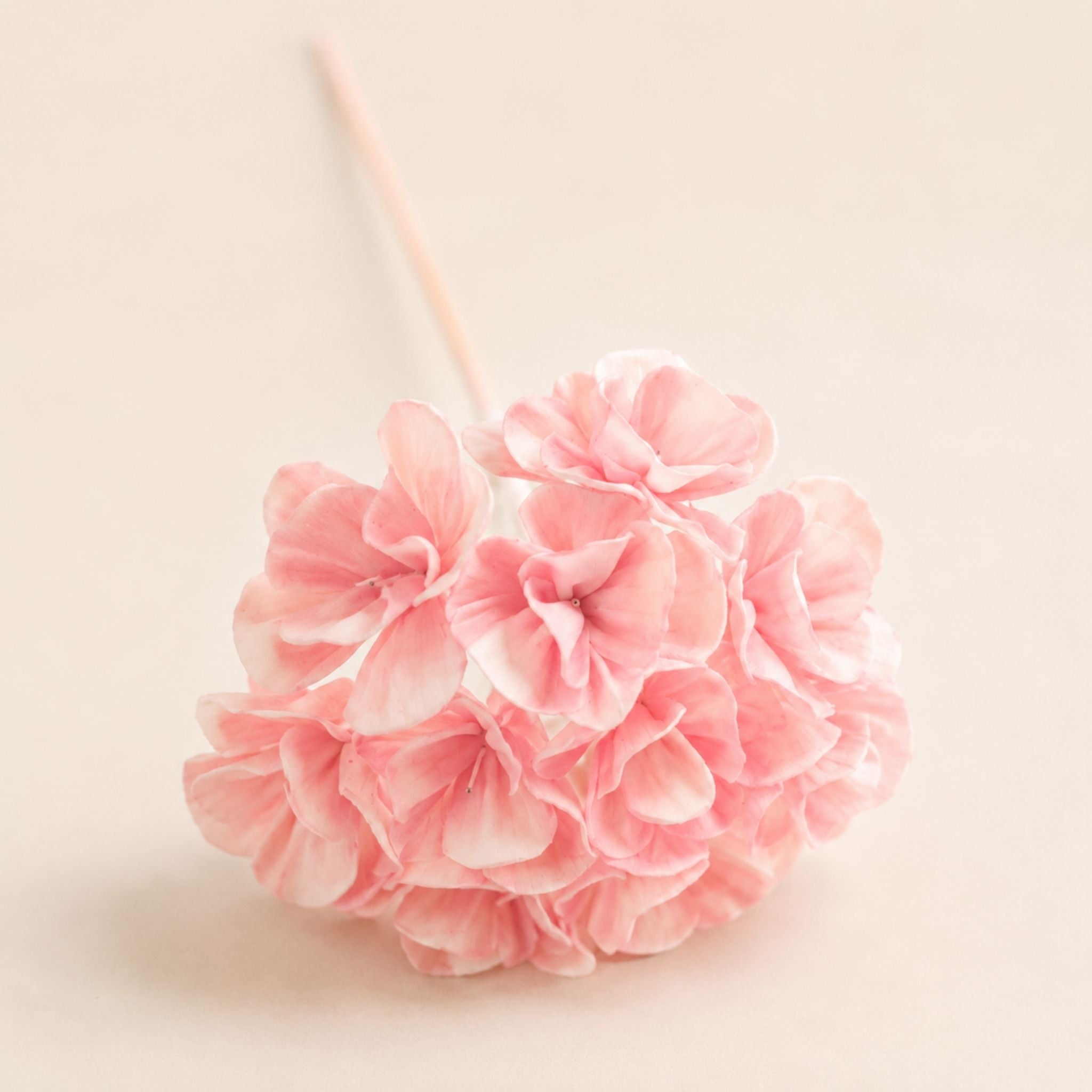 Hanazora Handmade Reed Diffuser Flower Ball