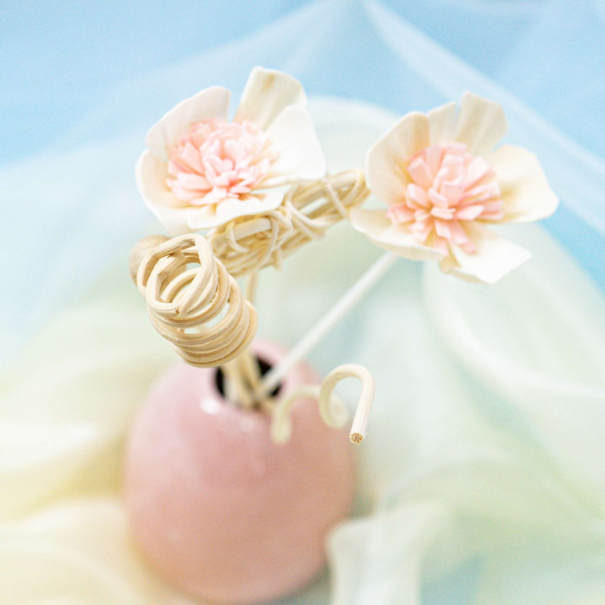 Kaori Hana Collection – Sola Wood Reed Diffuser Sticks