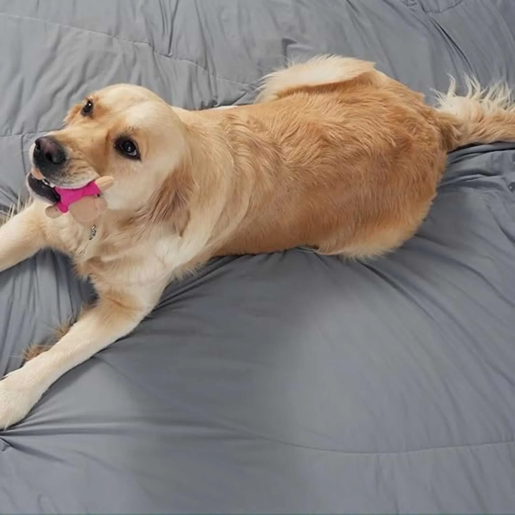 KoriFuton Cooling Comforter