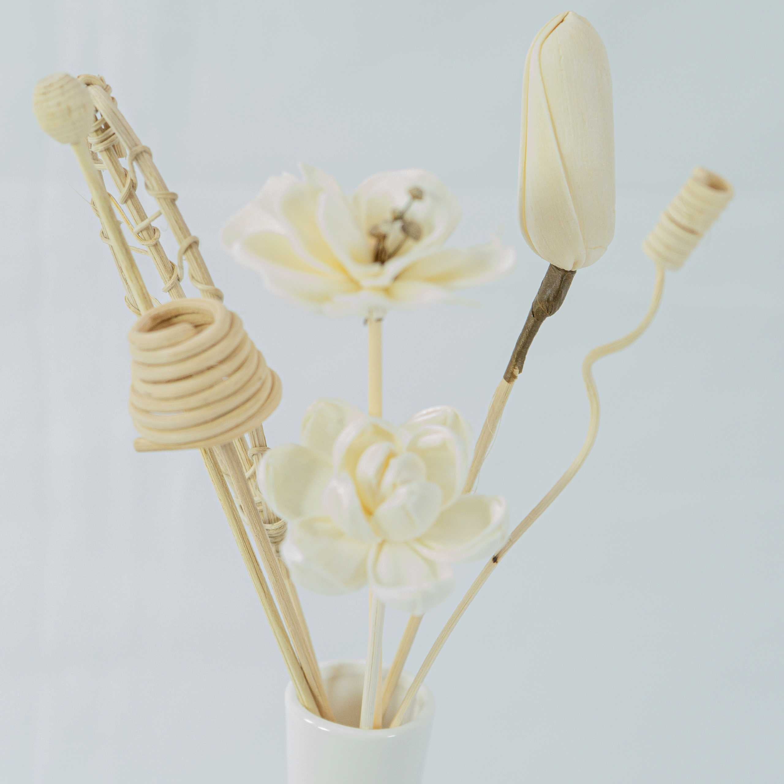 Serene Bloom Collection