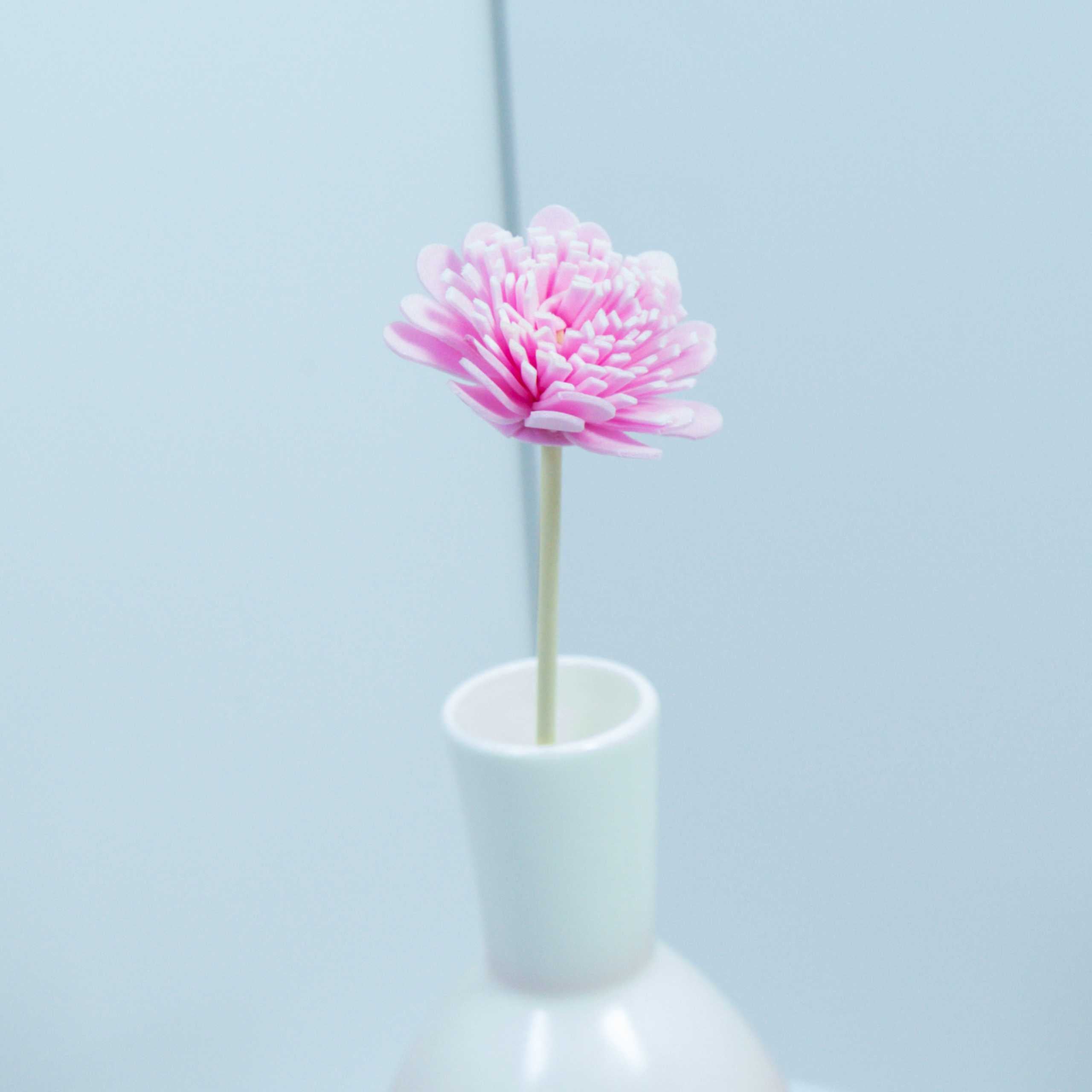 Serene Bloom Collection