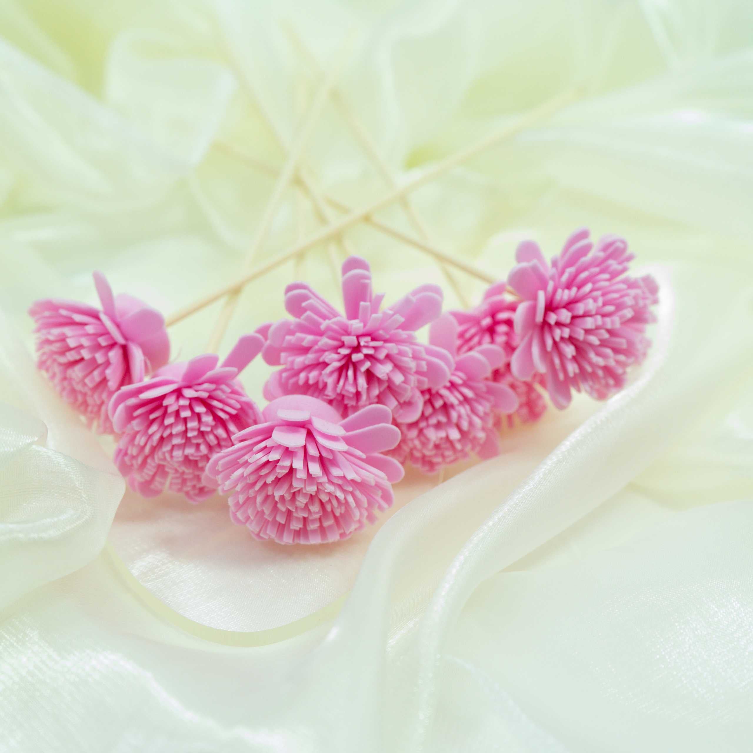 Serene Bloom Collection