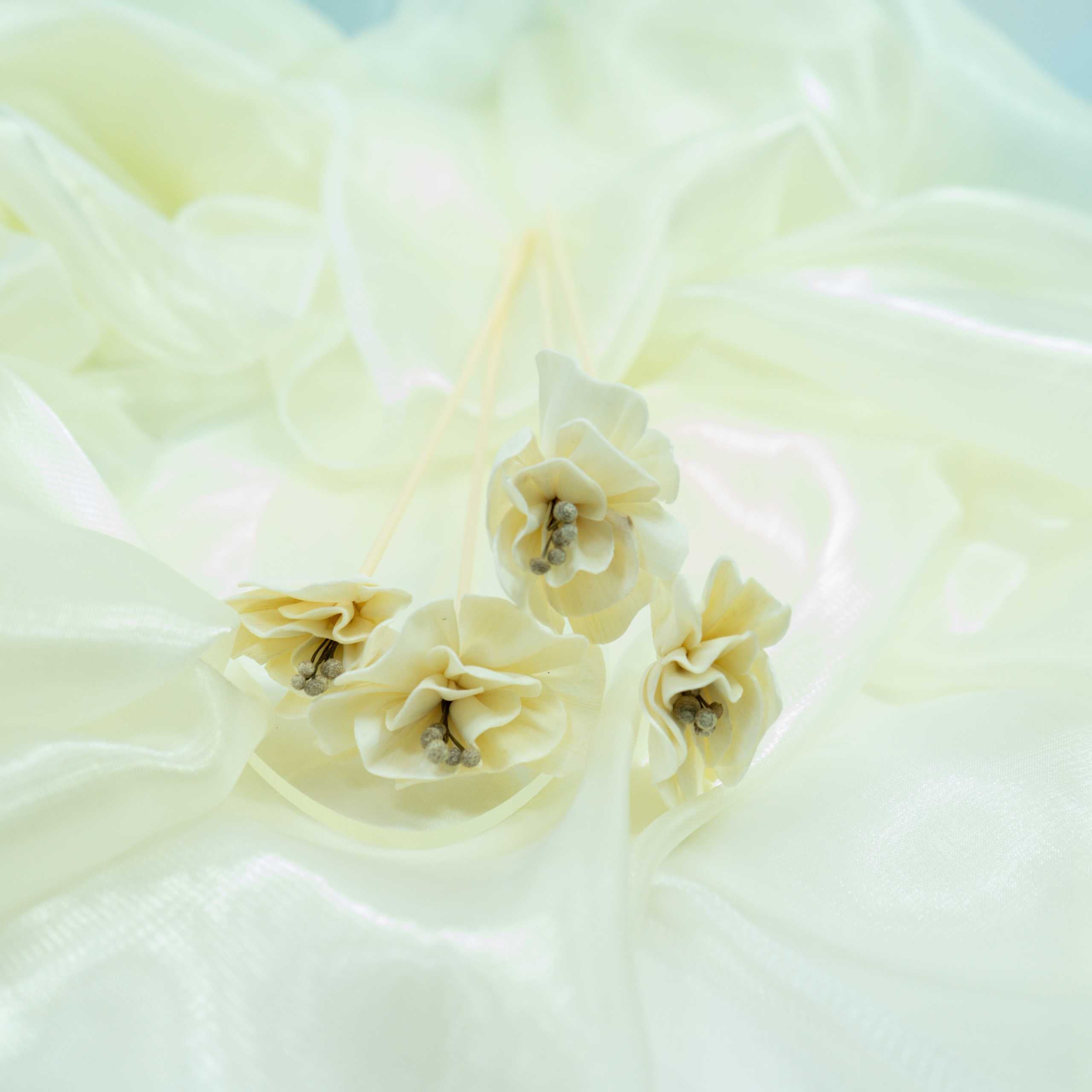 Serene Bloom Collection