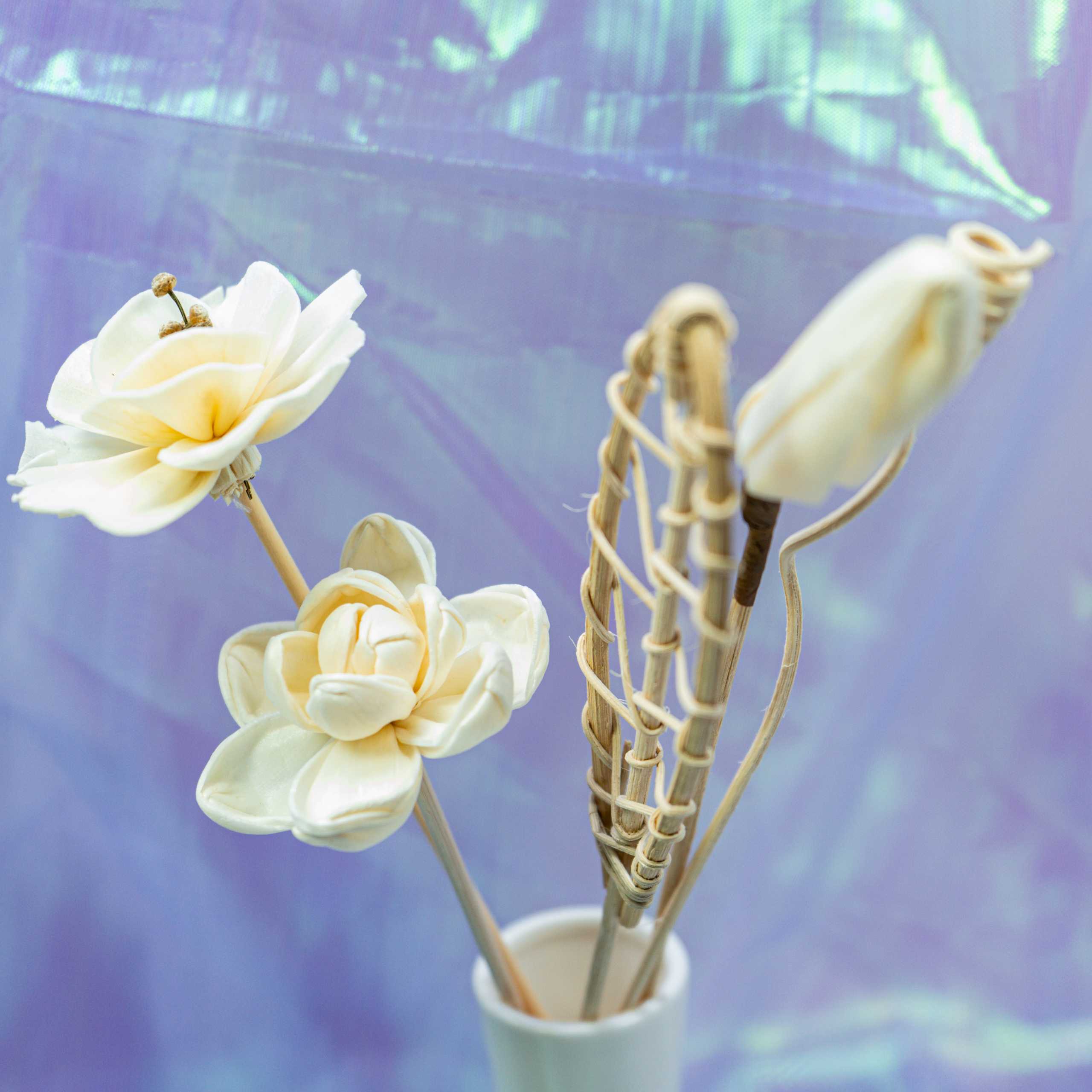 Serene Bloom Collection