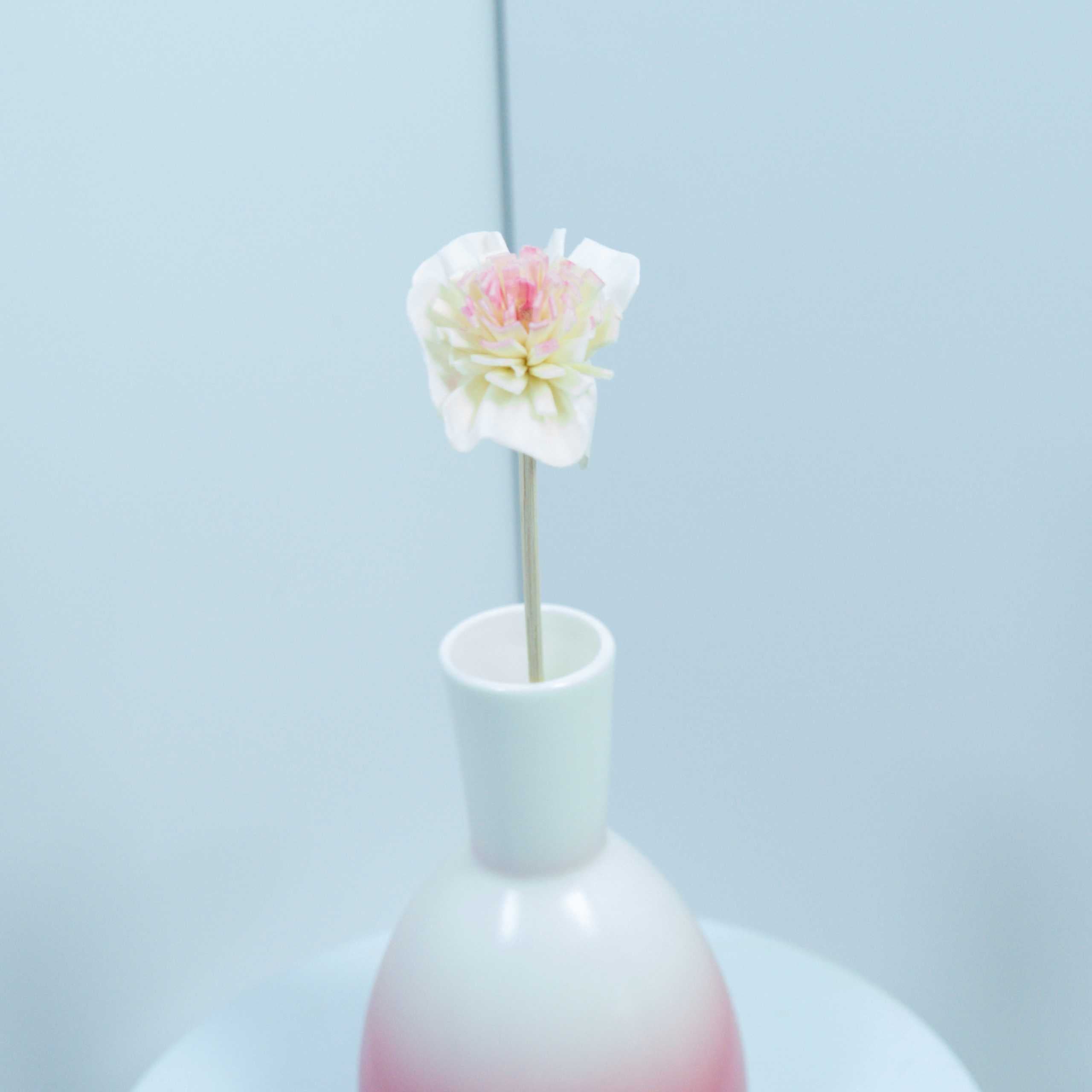 Serene Bloom Collection